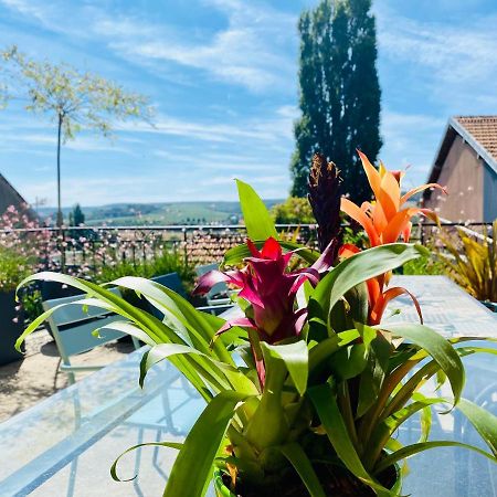 Villa Kundalini - Guest House Vincelles  Экстерьер фото